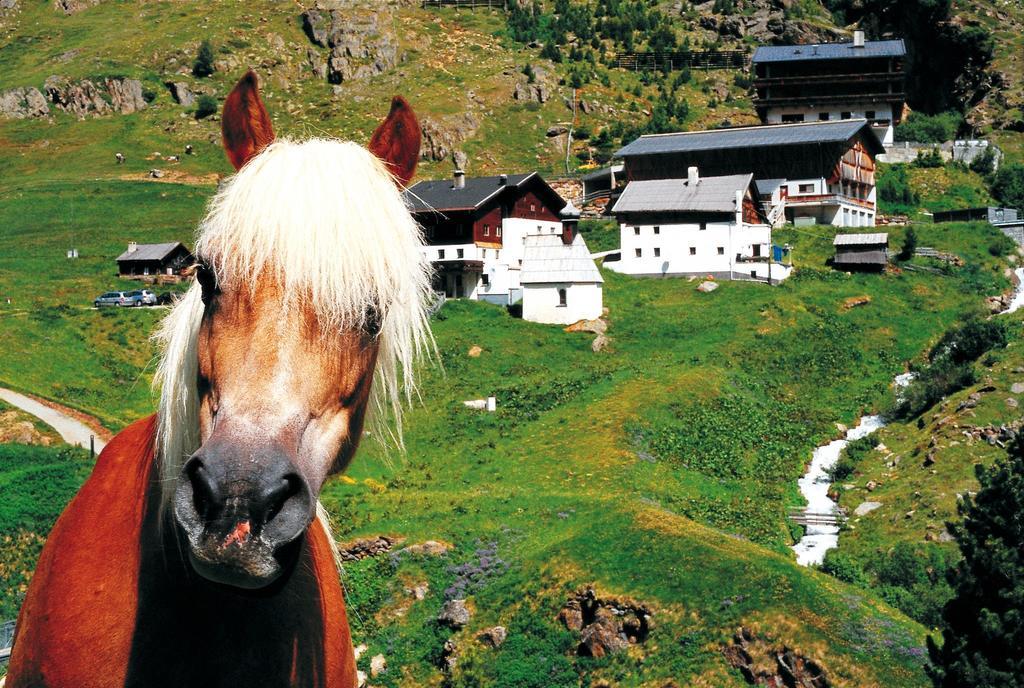 Gasthof Geierwallihof Vent Bagian luar foto